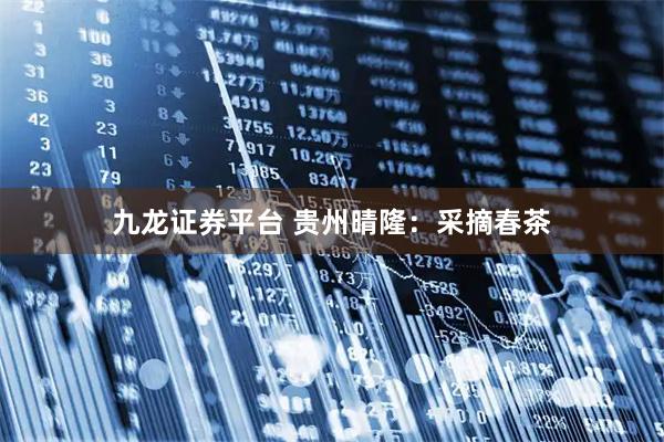 九龙证券平台 贵州晴隆：采摘春茶
