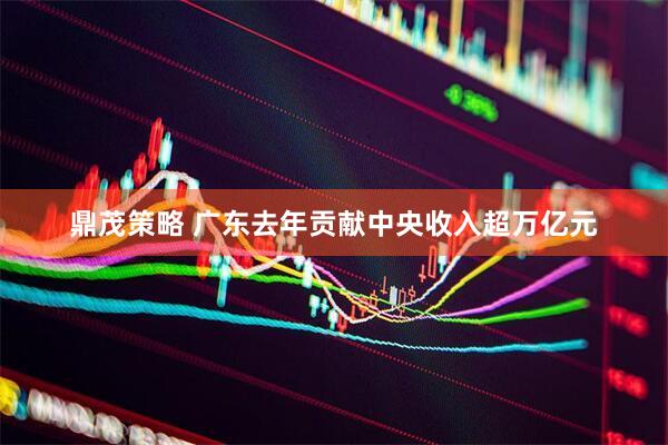 鼎茂策略 广东去年贡献中央收入超万亿元