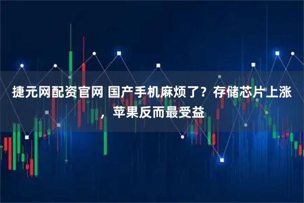 捷元网配资官网 国产手机麻烦了?存储芯片上涨,苹果反而最受益